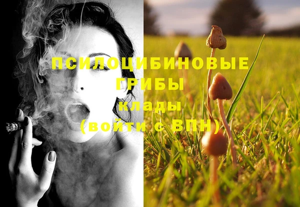 прущий лед Заводоуковск