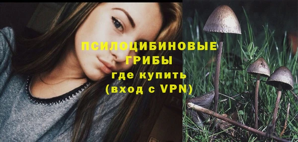 кокс Билибино