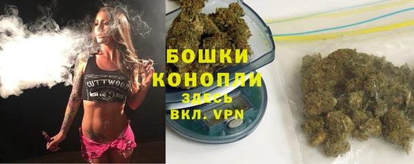 прущий лед Заводоуковск
