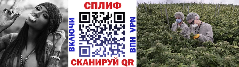 KRAKEN ТОР  Ивангород  Канабис тримм 